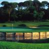 Eine gepflegte Grünfläche eines Golfplatzes mit einer Holzumrandung im Vordergrund und einem dichten Wald im Hintergrund.
