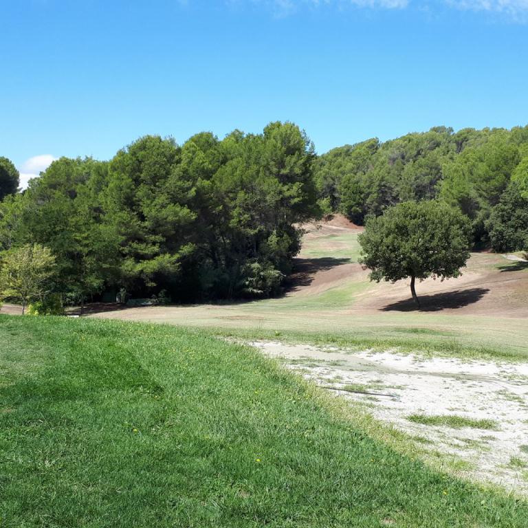 Weite Grünfläche eines Golfplatzes mit dichten Bäumen und blauem Himmel im Hintergrund.