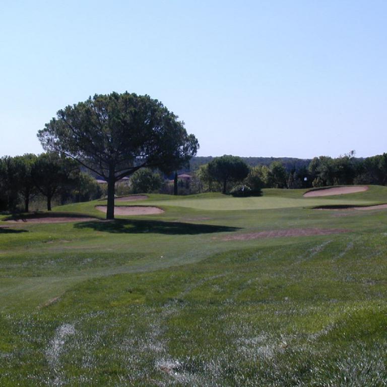 Ein weitläufiger Blick auf einen grünen Golfplatz mit zahlreichen Bäumen und hellem Blauhimmel.