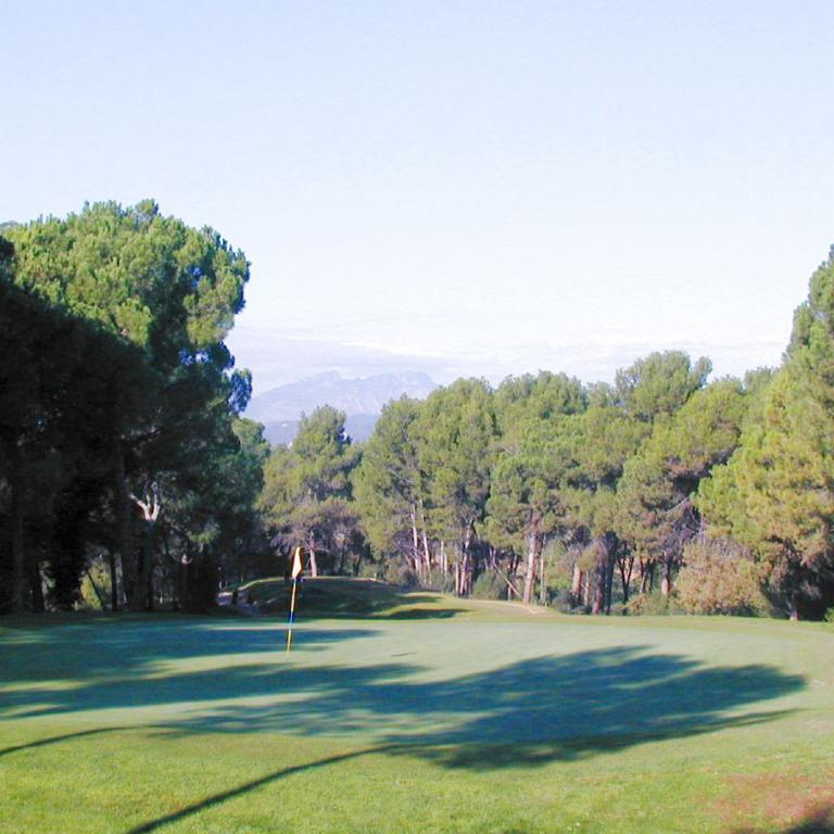 Weite Panoramaaufnahme eines Golfplatzes mit sattgrünem Rasen, umrahmt von dichtem Baumbestand und Blick in die Ferne
