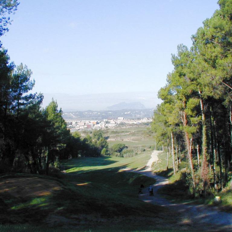 Panoramablick von einem Hügel über eine Waldlandschaft, die eine kleine Ortschaft in der Ferne zeigt.