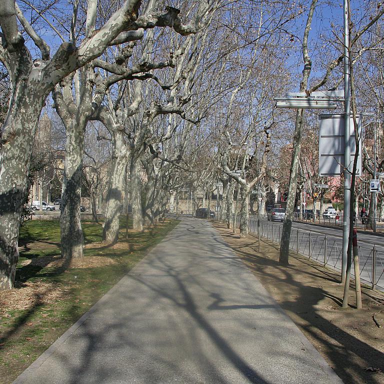 Ein breiter, von Bäumen gesäumter Boulevard mit Schattenwurf und einem gepflasterten Weg.
