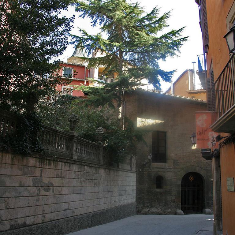 Eine schmale Gasse in einer historischen Stadt, begrenzt von einer Steinmauer und alten Gebäuden, mit mehreren Bäumen, die die Szene beleben.