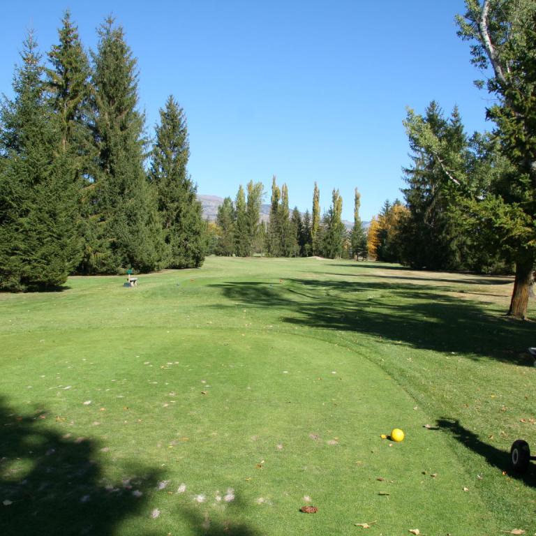 Grüner Rasen eines Golfplatzes mit Bäumen und einer Golftasche im Vordergrund