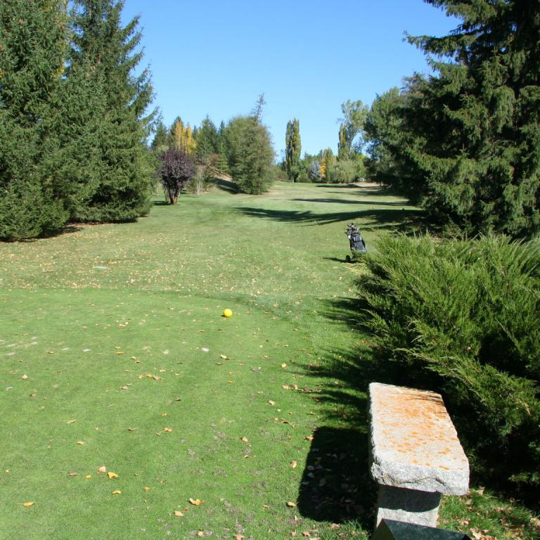 Ein weitläufiger, grüner Park oder Golfplatz mit zahlreichen hohen Bäumen und einer gepflegten Rasenfläche.