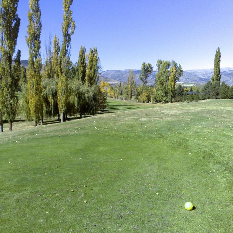Eine weitläufige, gepflegte Rasenfläche eines Golfplatzes mit Baumreihen und einer Golfkugel im Vordergrund.