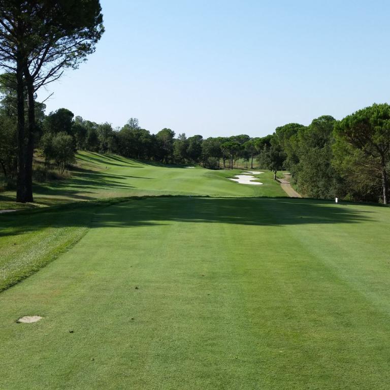 Weitwinkelaufnahme eines gepflegten Golfplatzes mit grünen Fairways und Waldgrenze im Hintergrund.
