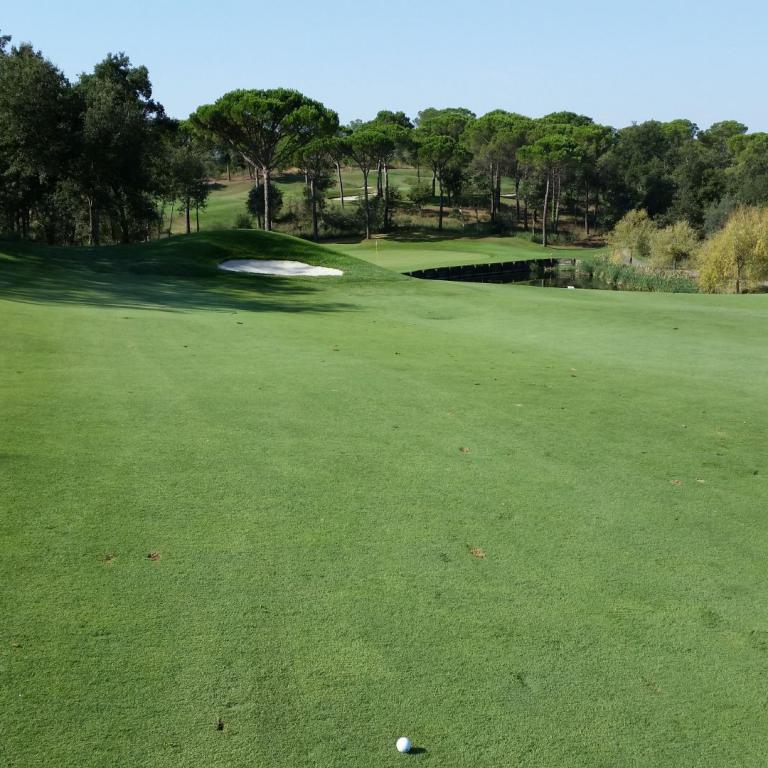 Ein weitläufiger Blick auf einen Golfplatz mit einer gepflegten Rasenfläche, einem Wasserhindernis und einem Waldrand im Hintergrund.