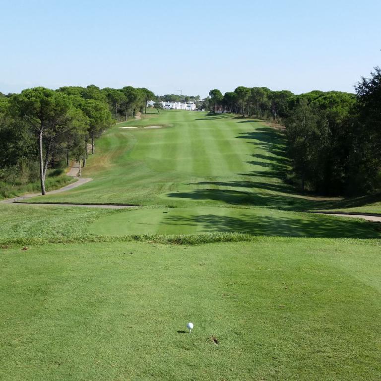 Weite Aufnahme eines Golfplatzes, der durch eine Reihe von Bäumen und eine breite Rasenfläche verläuft.