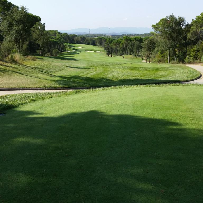 Panoramaaufnahme eines gepflegten Golfplatzes mit einem großen Grün im Vordergrund, umgeben von Bäumen und einem Zufahrtsweg.