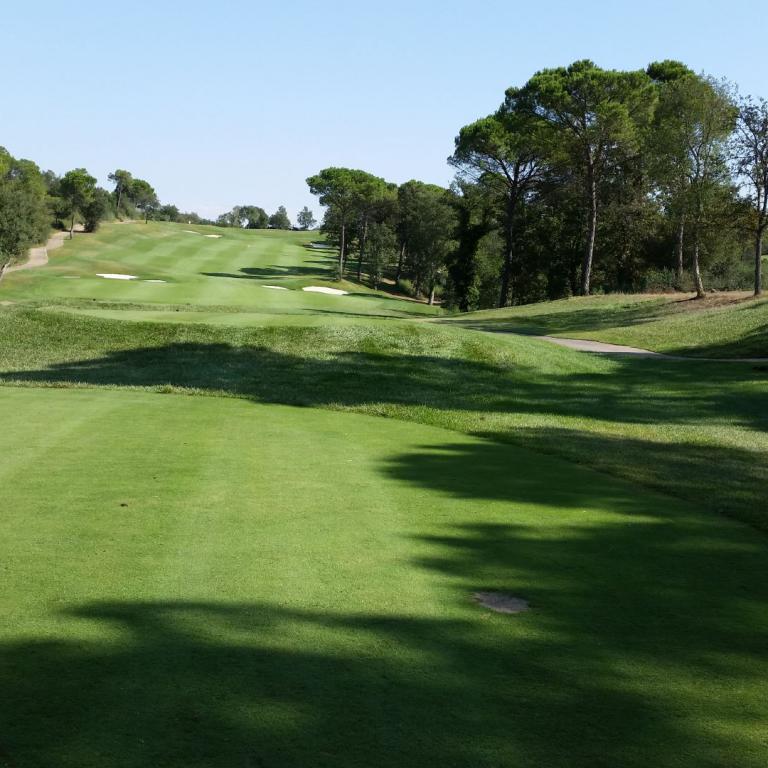 Ein breites Grünfeld eines Golfplatzes mit Bäumen und einem Golfwagen im Hintergrund.