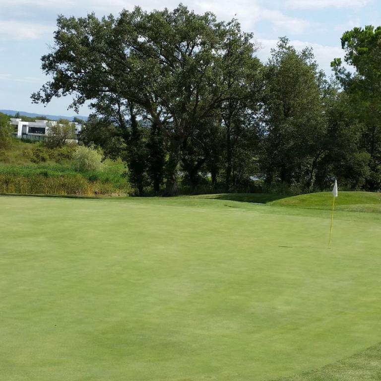 Ein großer, gepflegter Golfplatz mit einem Flaggenmast auf dem Grün.