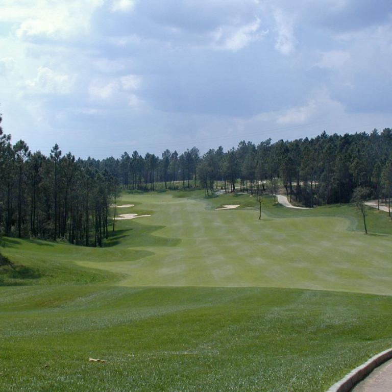 Panoramablick auf einen Golfplatz mit grünen Fairways, umgeben von einem Waldstreifen unter einem bewölkten Himmel.