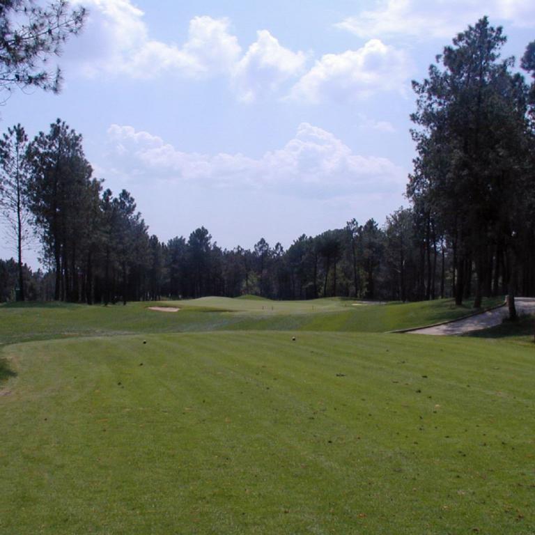 Ein weites Panorama eines gepflegten Golfplatzes mit einem dichten Wald im Hintergrund unter blauem Himmel.
