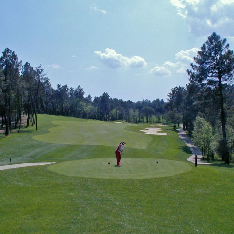 Ein Golfer steht auf einem grünen Fairway mit Blick auf einen Waldhintergrund und einen blauen Himmel.
