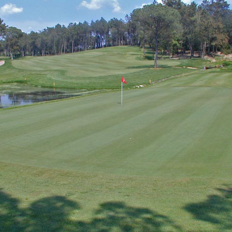 Ein gepflegter Golfplatz mit einem Putting Green und einem Wald im Hintergrund.