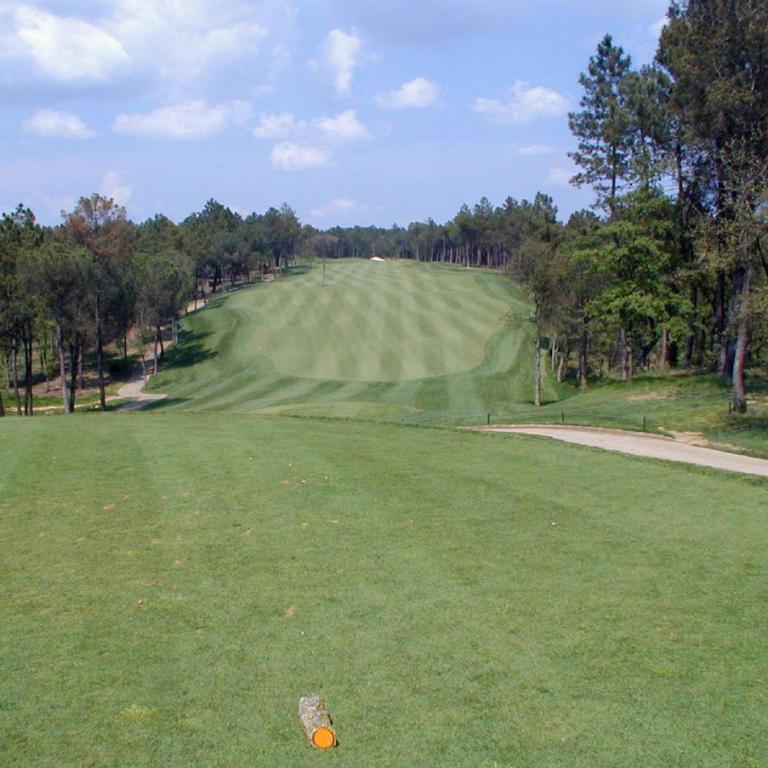 Ein Blick auf einen Golfplatz mit einem großen, gepflegten Grün in der Mitte, umgeben von Bäumen.