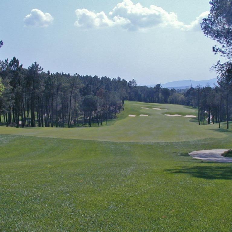 Grüne Golfplatzlandschaft mit Bäumen und einem Himmel mit Wolken