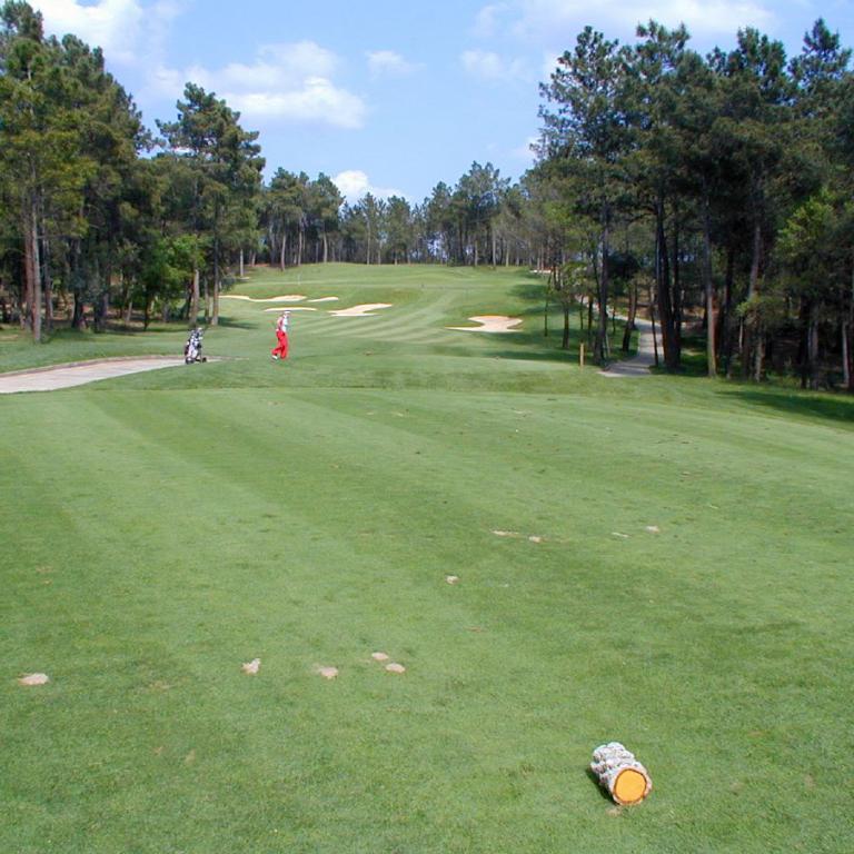 Ein weitläufiger, gemähter Golfplatz mit Blick auf einen Waldhintergrund und einem blauen Himmel.