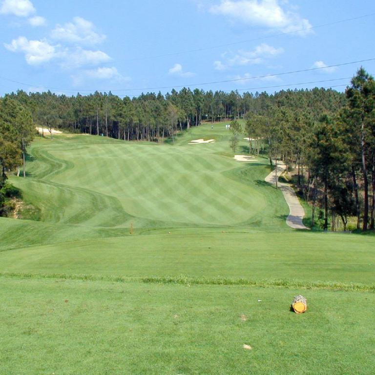 Ein Panoramablick auf einen gepflegten Golfplatz mit weitläufiger Rasenfläche und Waldstück im Hintergrund.
