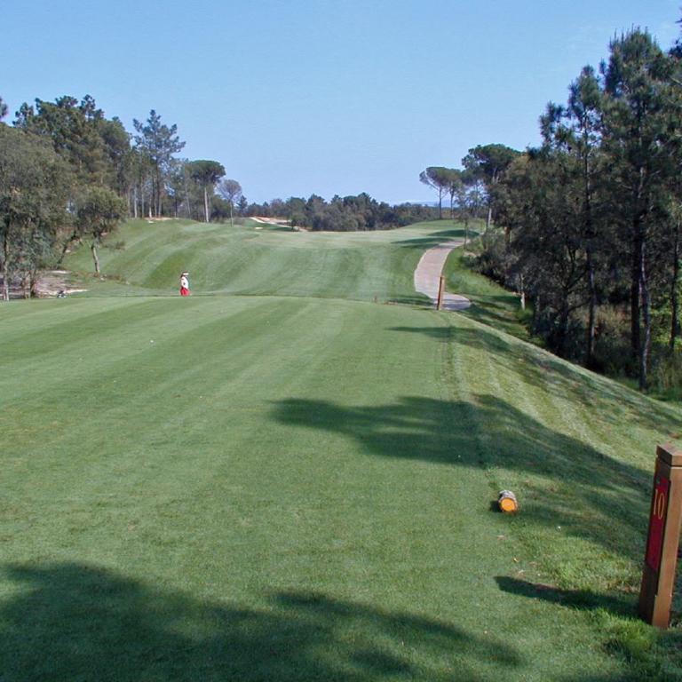 Eine weite, gepflegte Rasenfläche eines Golfplatzes mit Bäumen im Hintergrund und einem gewundenen Weg.