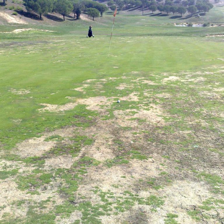 Ein Golfplatz mit einem Spieler, der auf einem Fahnenpfahl steht, im Hintergrund sind Bäume und eine Landschaft zu sehen.