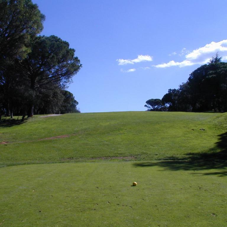 Eine weitläufige, grüne Golfplatzlandschaft mit dunklen Bäumen und blauem Himmel.
