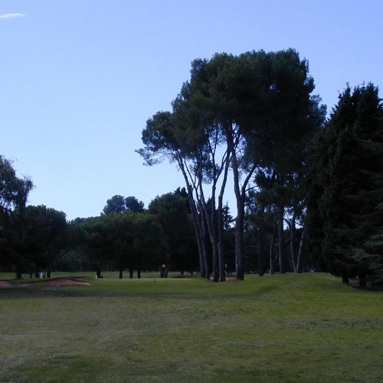 Eine weitläufige Parklandschaft mit grüner Wiese und einer Gruppe hoher Bäume unter blauem Himmel.