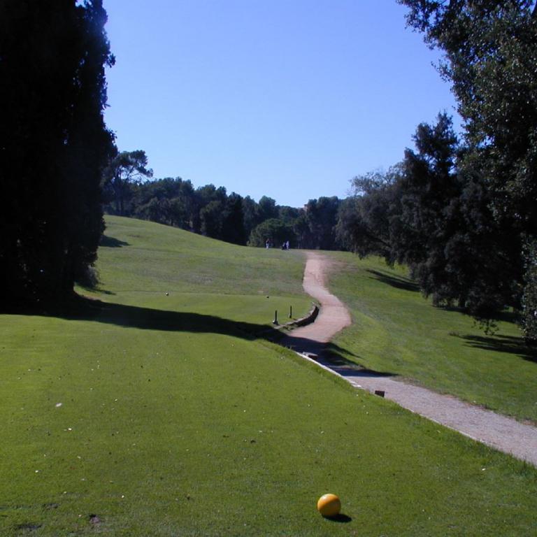 Ein Blick auf einen grünen Golfplatz mit einem gewundenen Weg, umgeben von Bäumen, und einer Golfkugel im Vordergrund.