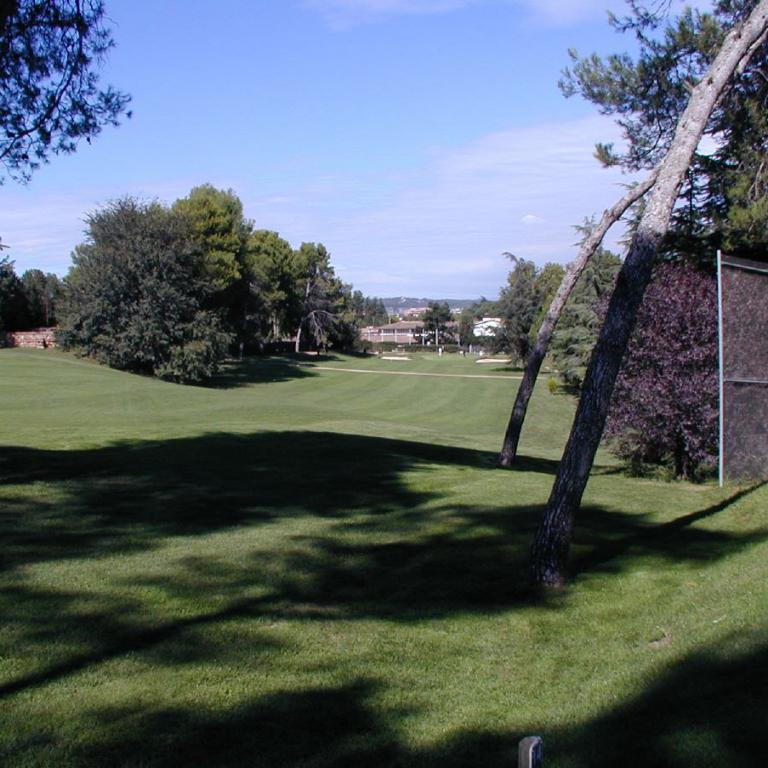 Weitläufiger grüner Park mit Schatten von Bäumen unter blauem Himmel