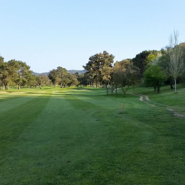 Ein Golfplatz mit grüner Spielfläche, die auf einen Waldstreifen zuläuft.