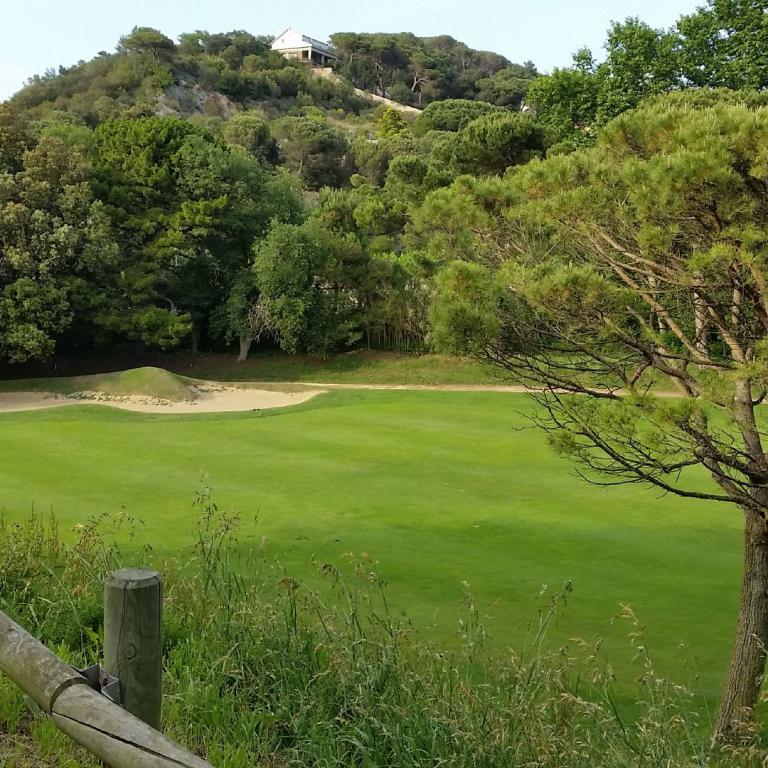 Golfplatz mit grünem Rasen, einem großen Baum und bewaldetem Hang im Hintergrund.