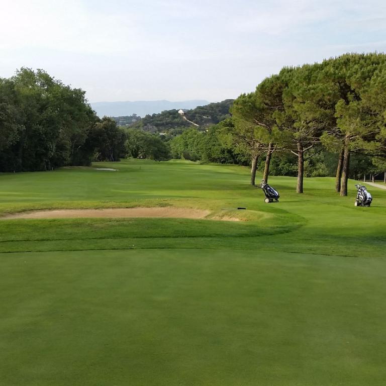Eine weite Grünfläche eines Golfplatzes mit Bäumen und einem Himmel im Hintergrund.