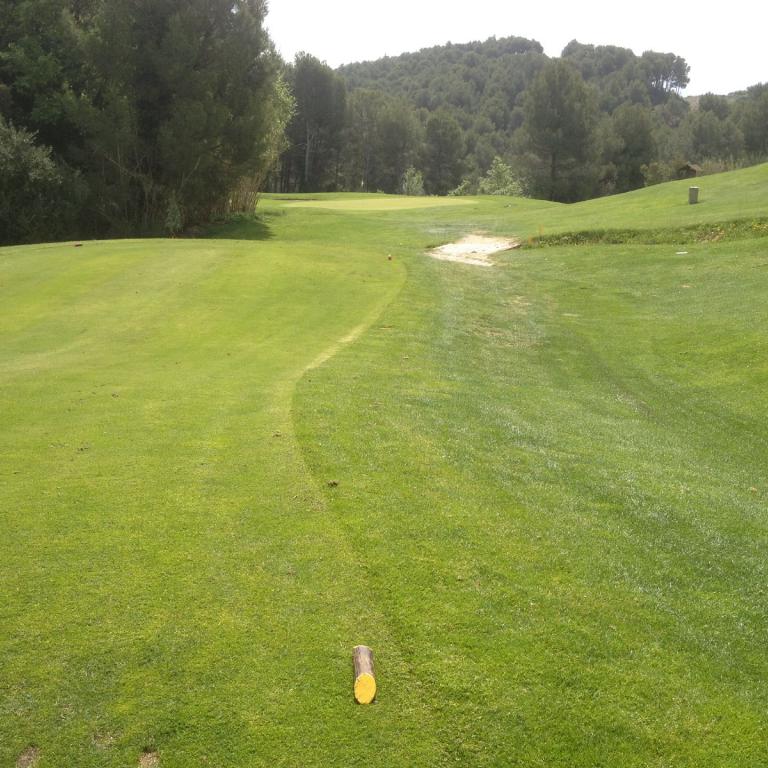 Ein weitläufiger, grüner Golfplatz mit Blick auf dicht bewaldete Hügel.