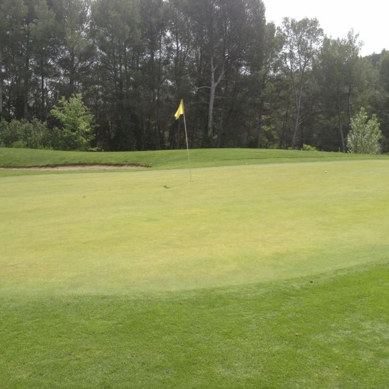 Ein weitläufiges Golfgreen, auf dem ein Fahnenmaus platziert ist, mit einem Hintergrund aus Bäumen.