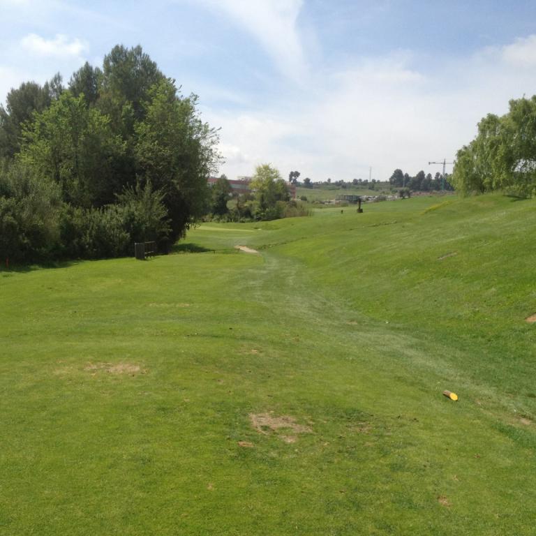 Eine weite Grünfläche, die wie ein Golfplatz aussieht, mit Bäumen im Hintergrund und einem hellen Himmel.