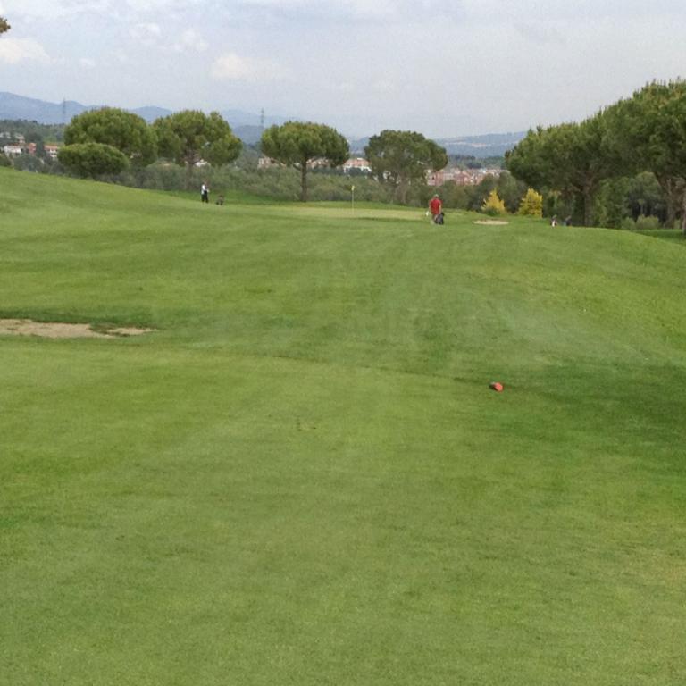 Eine weite Grünfläche eines Golfplatzes mit Bäumen und einer Skyline im Hintergrund.
