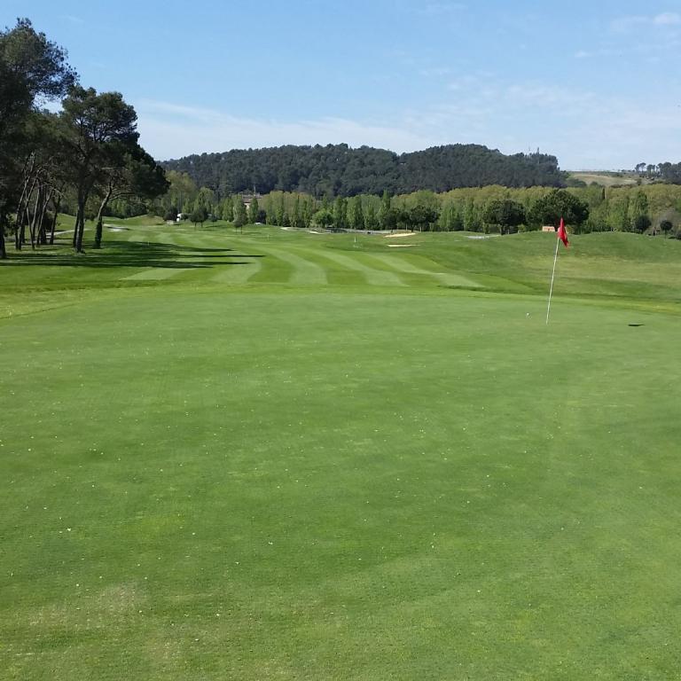 Eine weite, gepflegte Grünfläche eines Golfplatzes mit Bäumen und blauem Himmel im Hintergrund.