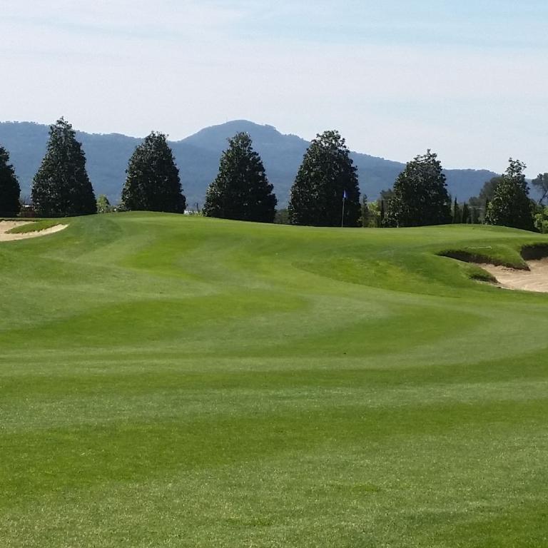 Panoramaaufnahme eines Golfplatzes mit grünem Fairway und bewaldetem Hügelhang im Hintergrund.