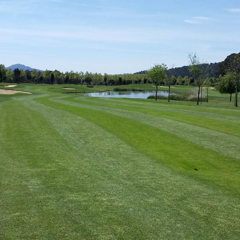 Weitläufiger Blick auf einen gut gepflegten Golfplatz mit grünen Fairways, einem Teich und Bäumen im Hintergrund.