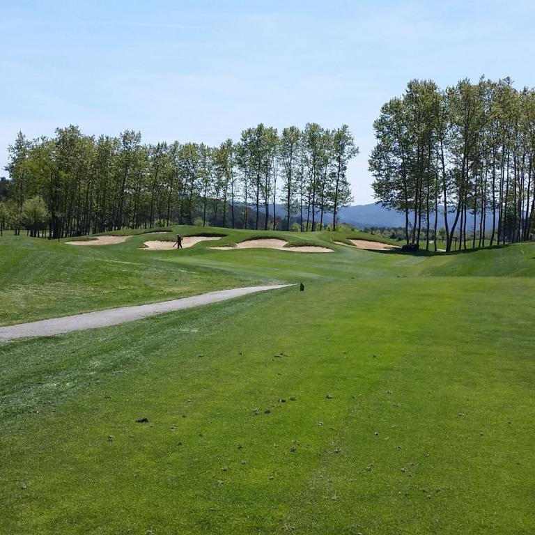Weite Aufnahme eines gut gepflegten Golfplatzes mit einem Pfad, Bäumen und blauem Himmel im Hintergrund.