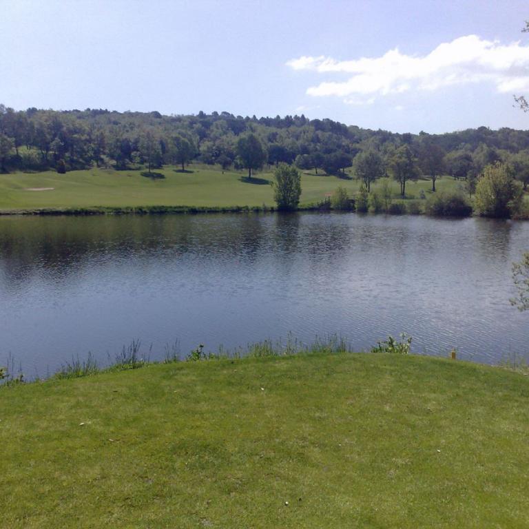 Panoramablick über einen ruhigen Teich von einer grünen Wiese aus, mit einem bewaldeten Ufer im Hintergrund.