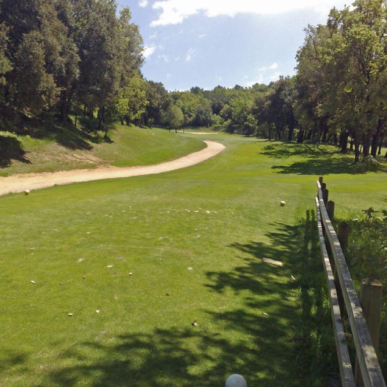 Eine grüne Wiese mit einem Feldweg, der durch den Park führt, gesäumt von Bäumen.