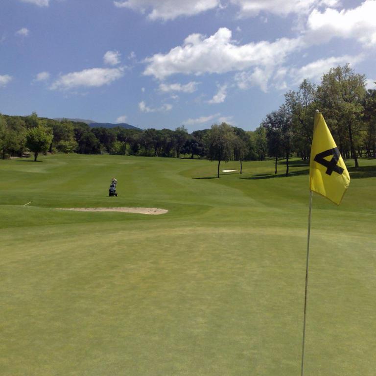 Sonniger Golfplatz mit gelber Flagge und Bäumen im Hintergrund