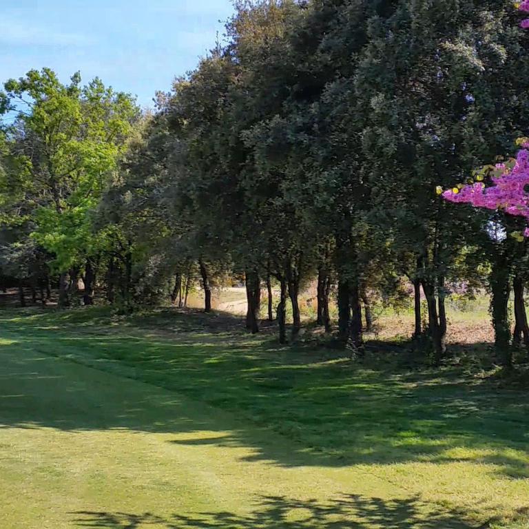 Ein gepflegter grüner Grünbereich, begrenzt von einer Reihe dunkler Bäume und einem blühenden Baum mit leuchtend rosa Blüten.