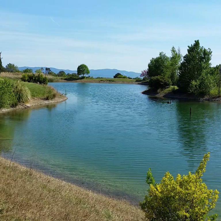 Ein großer, ruhiger Teich in einer grünen Park- oder Golflandschaft mit trockenem Gras im Vordergrund.