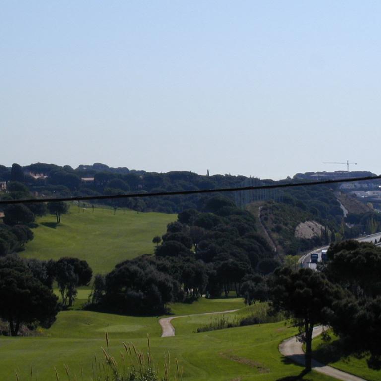 Panoramaaufnahme einer grünen Hügellandschaft mit Bäumen, Wegen und einer sichtbaren Straße.