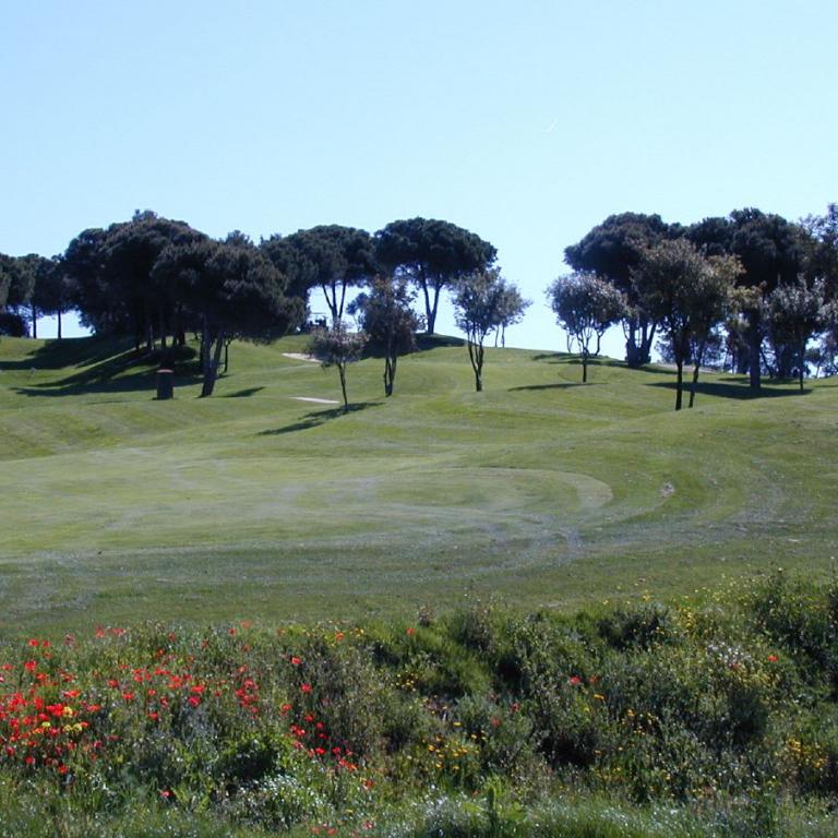 Weitläufiger Blick auf einen Golfplatz mit Bäumen im Hintergrund und blühenden Blumen im Vordergrund.