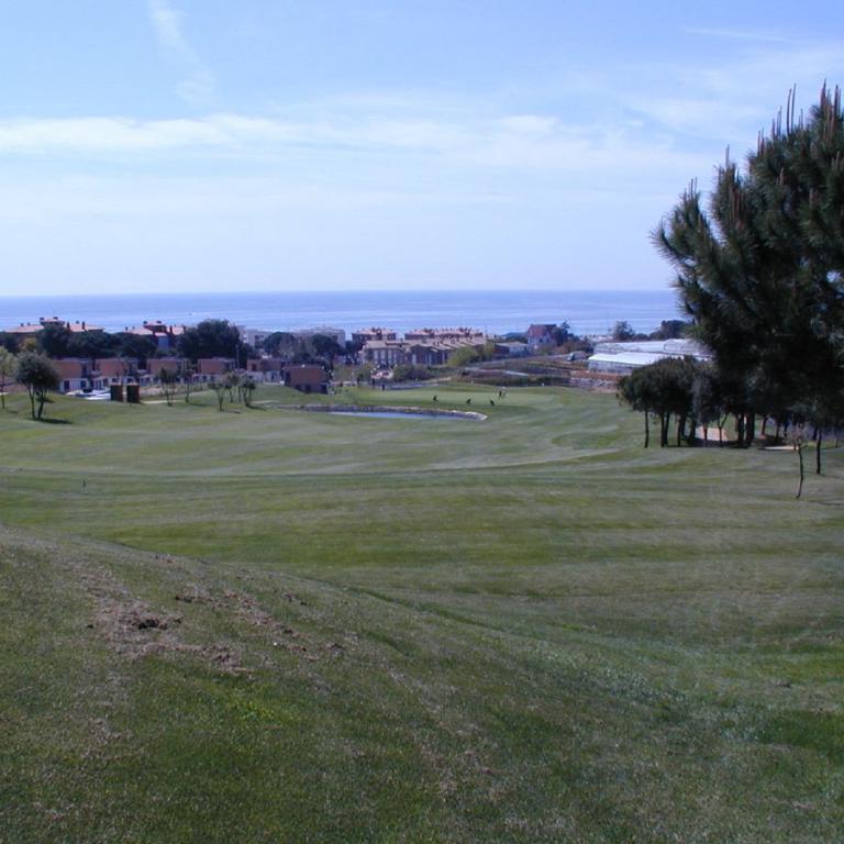 Ein weitläufiges, grünes Golfgelände mit Blick auf das blaue Meer und einer großen Pinie im Vordergrund.