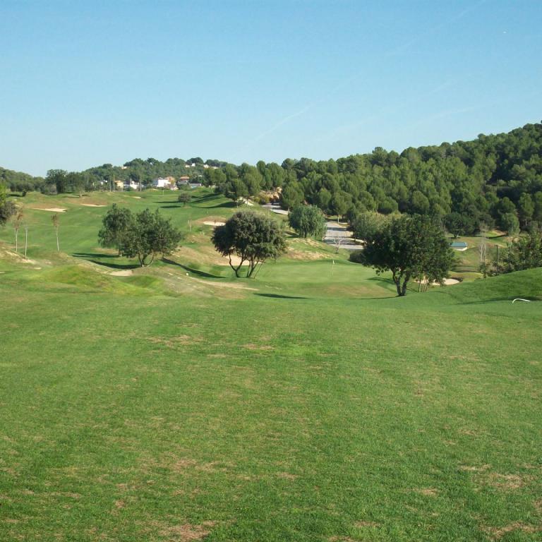 Weitläufiger, grüner Rasen und ein Golfplatz vor einer dichten Waldkulisse unter klarem blauem Himmel.